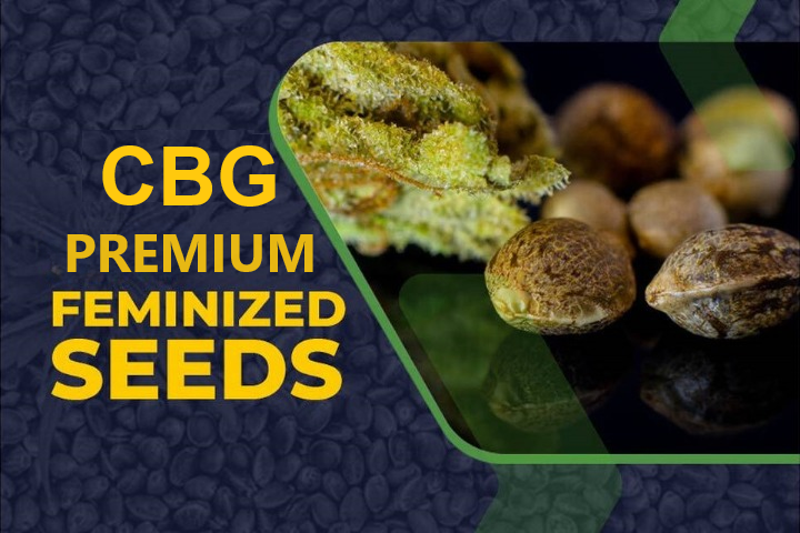 CBG Seeds