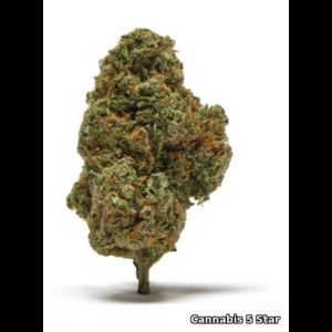 Super Skunk CBD Bud